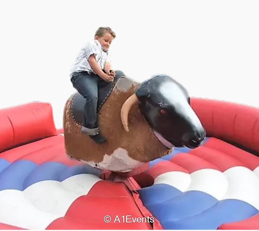 Deluxe Rodeo Bull - Bucking Bronco - 4 Hours - Event and Entertainment ...